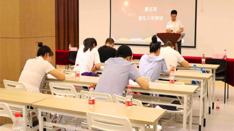 成人高考报名工作证明模板